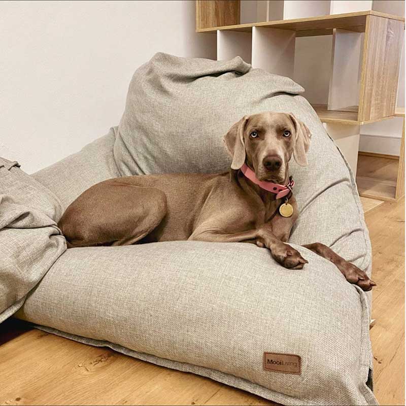 Customer Pic - Large Komfort Triangle indoor Bean Bag by Mooi Living 