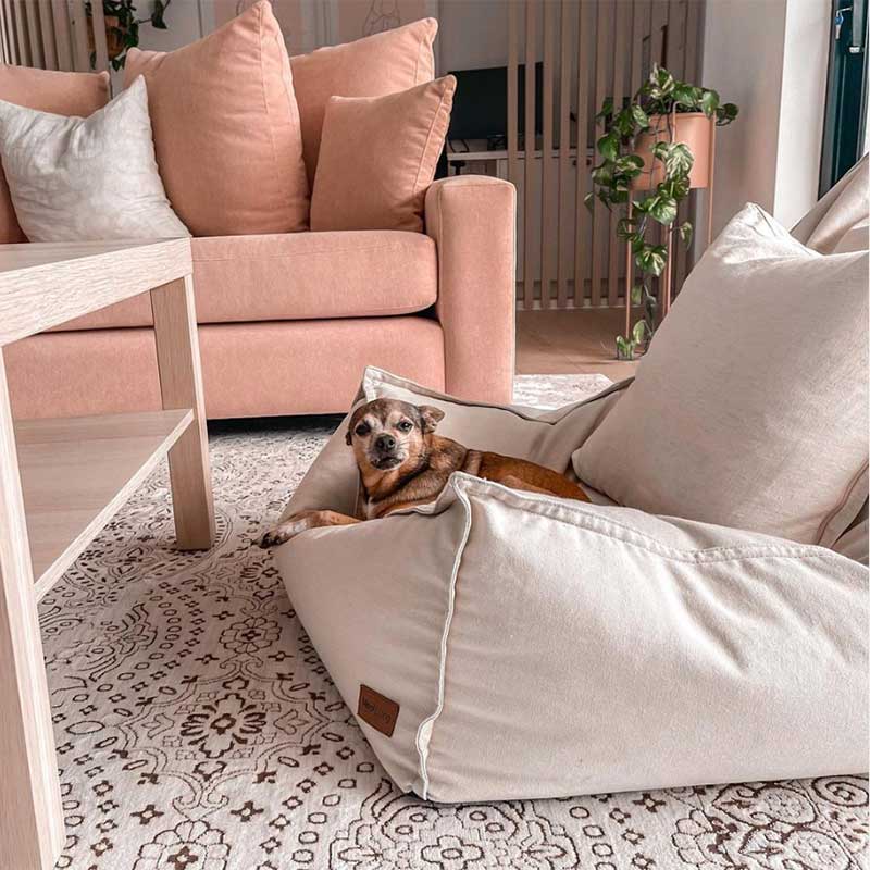 Customer pic of the Cotton Boss Bean Bag Chair in Natural with a dog lying on it, looking so relaxed